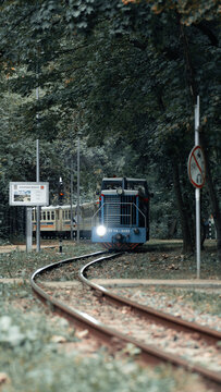 Train, Train in the forest, lonely train, lonely train in the forest, autumn train, children's train, children's railway