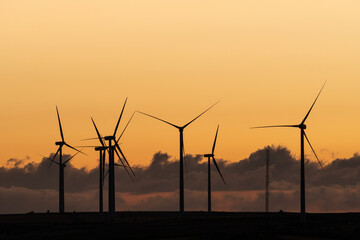 Production of electrical energy with wind mills in a sustainable way with renewable energies at sunset
