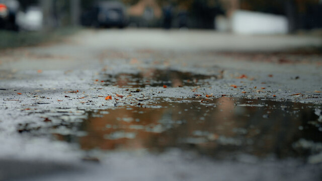 Puddle, leaves and puddle