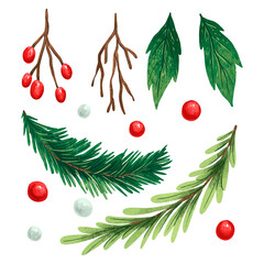 illustration New Year's set with holly leaves, red and white berries, Christmas twigs, a branch of a Christmas tree designer