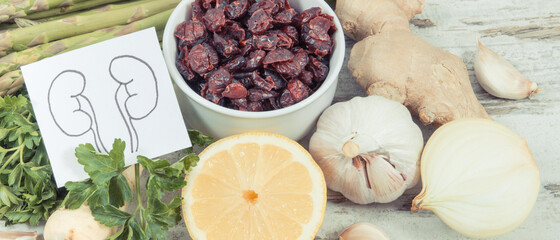 Best nutritious food for kidneys health. Healthy eating containing vitamins concept