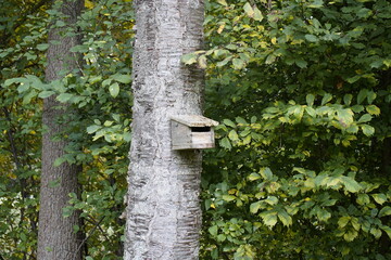 Nesting box for bats (Microchiroptera). Location: Schleswig Holsstein, Germany.