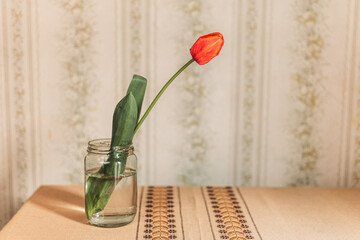 Red tulip in the glass jar. Retro vibes. Copy space