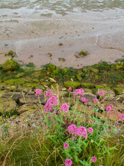 Ribadesella es la villa marinera asturiana lo tiene todo: mar, río y montaña.