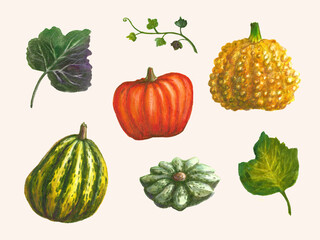 Set of watercolor pumpkins
