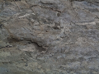 Tereñes, Ribadesella, Asturias, ROCAS EN LA PLAYA, fósiles, fósiles prehistóricos, huellas dinosaurio, mar