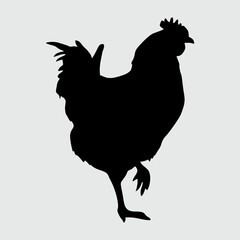 Chicken Silhouette, Chicken Isolated On White Background