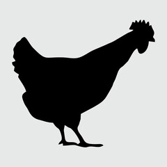 Chicken Silhouette, Chicken Isolated On White Background