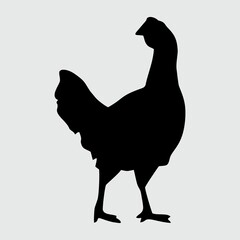 Chicken Silhouette, Chicken Isolated On White Background