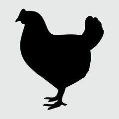 Chicken Silhouette, Chicken Isolated On White Background