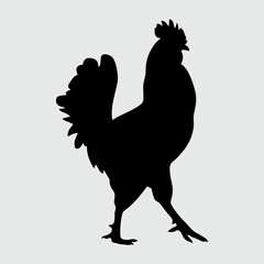 Chicken Silhouette, Chicken Isolated On White Background