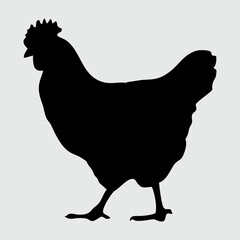Chicken Silhouette, Chicken Isolated On White Background