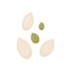 Pumpkin seeds. Vegetable seeds isolated on white background.