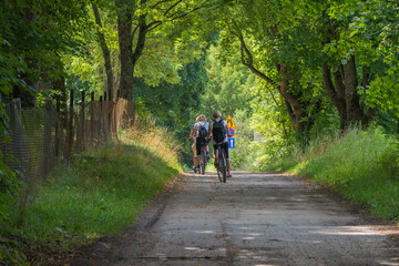 bicycle tourism in Białowieża
