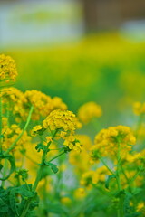 春の陽気に誘われて