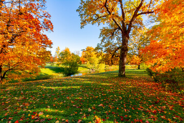Alexander park in autumn, Pushkin (Tsarskoe Selo), St. Petersburg, Russia