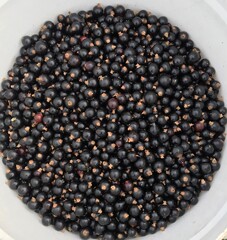 black pepper in a bowl