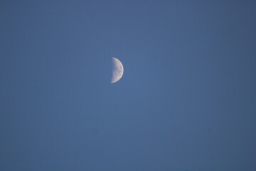 moon in the sky
