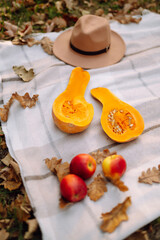 Autumn outdoor picnic at the park. Concept with a plaid blanket picnic, pumpkin and fruits. Autumn harvest. Preparation for Halloween party.