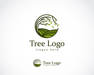 tree logo creative circle nature garden tea illustration vector