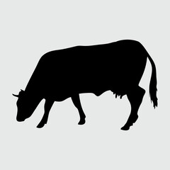 Cow Silhouette, Cow Isolated On White Background