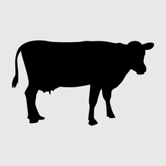 Fototapeta premium Cow Silhouette, Cow Isolated On White Background