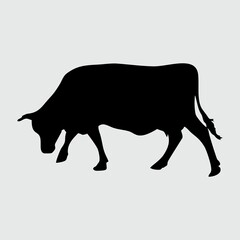 Cow Silhouette, Cow Isolated On White Background