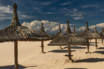 Palm umbrellas on the beach