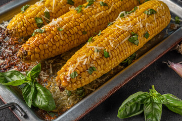Corn cobs grilled and baked on baking sheet with parmesan cheese and basil. Close up