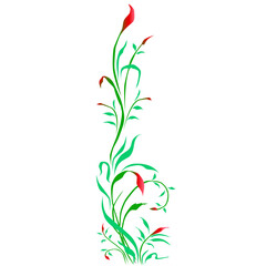 Beautiful flower hand drawn.Vector floral illustration