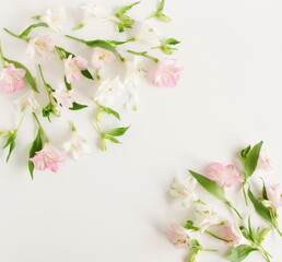 White and pink flowers frame top view on white background with copy space. Alstroemeria flowers backdrop. Poster