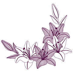 Frame with stylized lily flowers. Decorative image of beautiful buds.