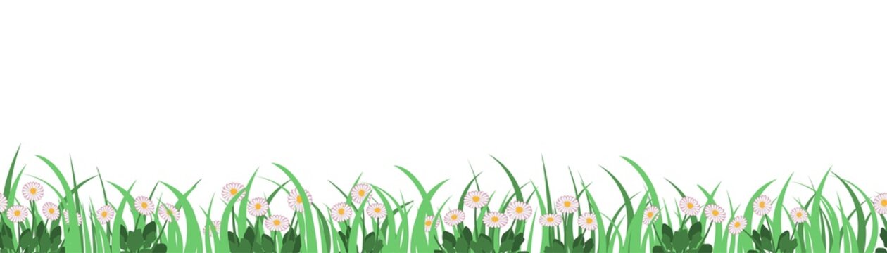 Vector illustration border of grass and daisies on a white background, decorative strip for summer and spring season