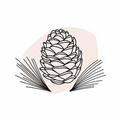 Cedar cone drawing