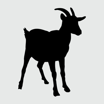 Goat Silhouette, Goat Isolated On White Background