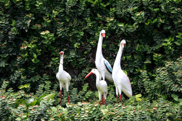 flamingo figurine on green garden background