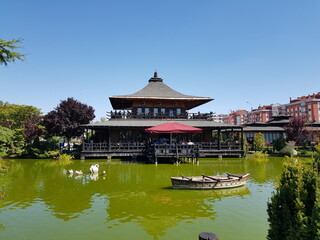 Naklejka premium kyoto japanese park perfect green nature in the middle of the city