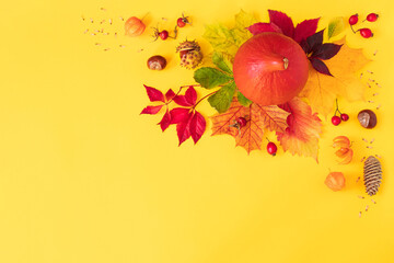 Corner composition from pumpkin, colorful leaves, chestnuts and berries on yellow background. Concept of fall harvest, Thanksgiving Day or Halloween. Flat lay autumn background with copy space.