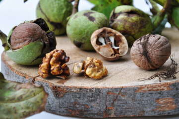 Walnut kernels.
Raw walnuts in a green shell. Ripe walnut tree nuts.
