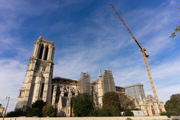 Notre Dame Cathedral reparations