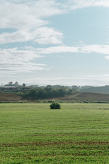 Obraz premium 들판