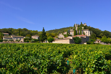 Fototapeta na wymiar La Roque-sur-Cèze (30200) au-delà des vignes, département du Gard en région Occitanie, France