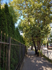Fototapeta premium path in the park