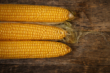 Fresh corn on the cob on a rustic wooden table, close up.