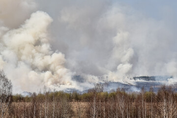 Fototapeta na wymiar Forest fires