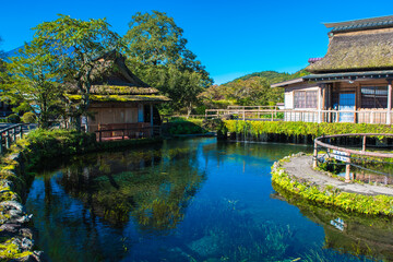 忍野八海の中池