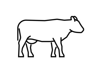 Fototapeta na wymiar Cow standing icon, basic black line symbol. Vector illustration isolated on white background.