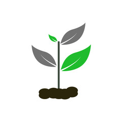 plant icon seeds thrive in the ground