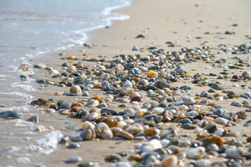 Fototapeta na wymiar Macro View Of Gravel And Sand On A Beach