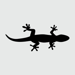 Fototapeta premium Lizard Silhouette, Lizard Isolated On White Background